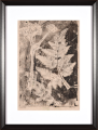 Paula Särkijärvi: Plants