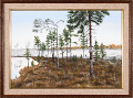 Pertti Niemelä: Suolampi